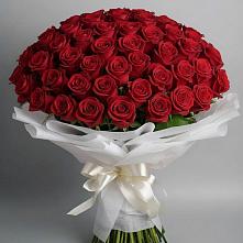 Букет 101 Красная роза Блэк Мэджик #REPLACE_PRED# Седельниково