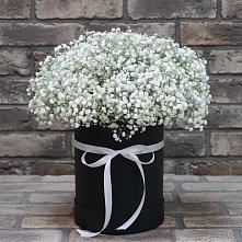 Цветочная композиция из Гипсофила в шляпной коробке #REPLACE_PRED# Седельниково