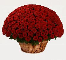 Премиум букет из: Розы в Седельниково